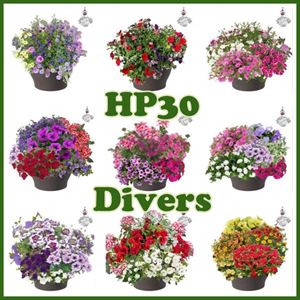 Bild von HP30 XXL Mix divers